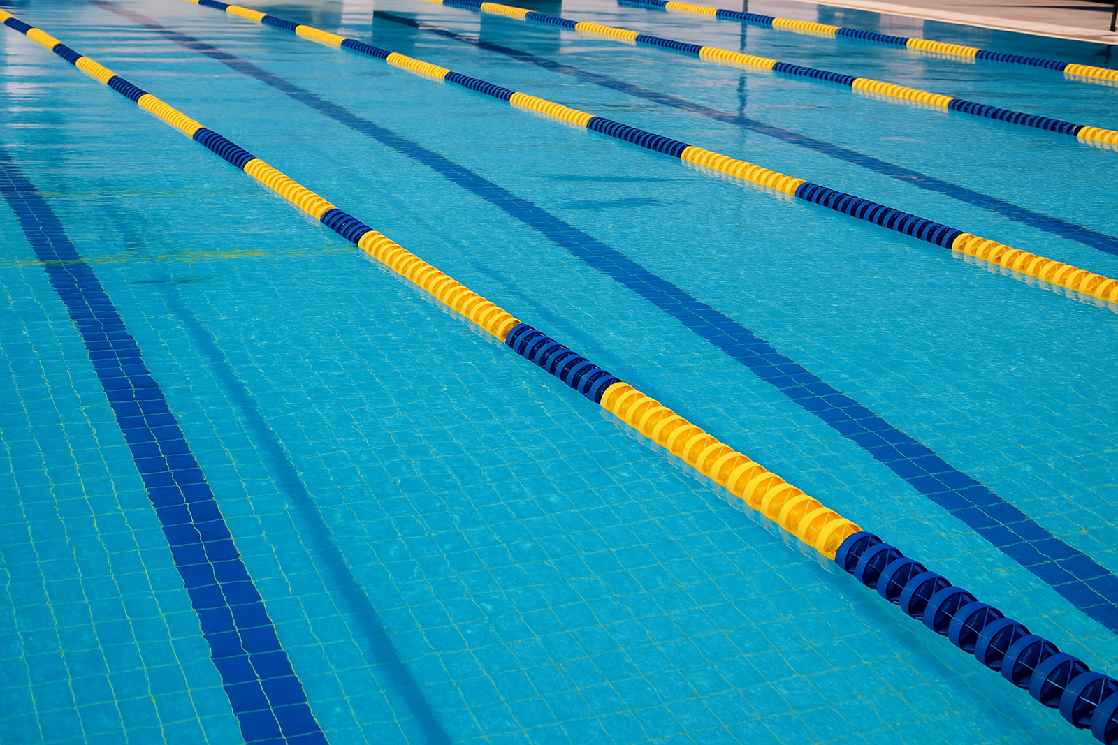 수영장 온라인 신청